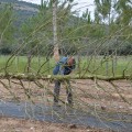 Κύρος