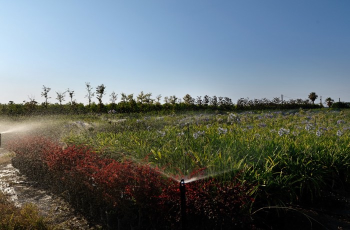 ΚΑΛΛΙΤΕΧΝΙΚΗ 4