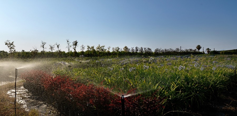 ΚΑΛΛΙΤΕΧΝΙΚΗ 4
