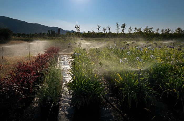 ΚΑΛΛΙΤΕΧΝΙΚΗ 3