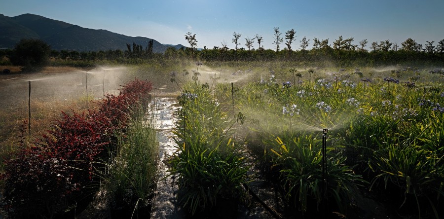 ΚΑΛΛΙΤΕΧΝΙΚΗ 3