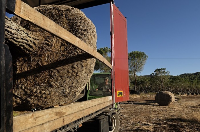 Εργασίες φόρτωσης 10
