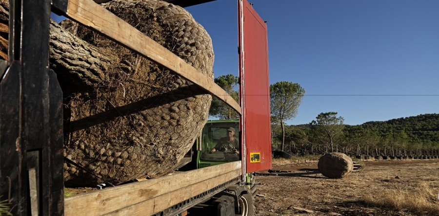 Εργασίες φόρτωσης 10
