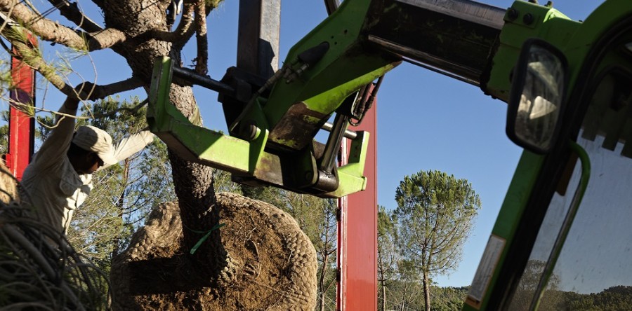 Εργασίες φόρτωσης 9