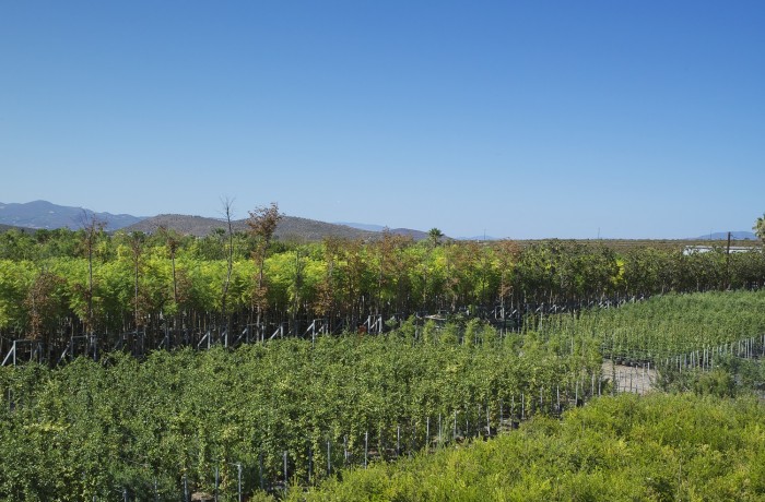 ΠΑΝΟΡΑΜΙΚΗ 6