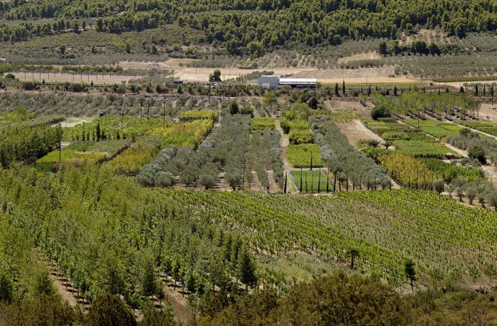 ΠΑΝΟΡΑΜΙΚΗ 4