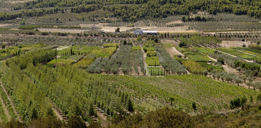 ΠΑΝΟΡΑΜΙΚΗ 4