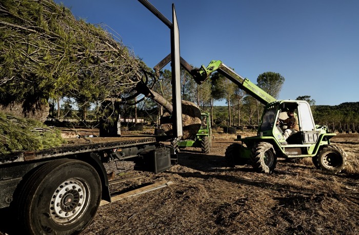 Εργασίες φόρτωσης 6